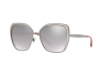 Sunglasses Dolce & Gabbana DG 2197 (04/6V)