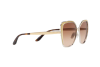 Солнцезащитные очки Dolce & Gabbana DG 2197 (131313)