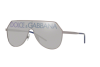 Sunglasses Dolce & Gabbana DG 2221 (04/N)