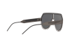 Sunglasses Dolce & Gabbana DG 2231 (12866G)