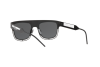 Sonnenbrille Dolce & Gabbana DG 2232 (110687)