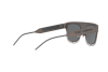Sunglasses Dolce & Gabbana DG 2232 (12866G)