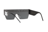 Sunglasses Dolce & Gabbana DG 2233 (01/87)