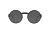 Sonnenbrille Dolce & Gabbana DG 2234 (110687)