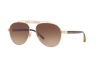 Sunglasses Dolce & Gabbana DG 2235 (02/13)