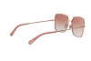 Sonnenbrille Dolce & Gabbana DG 2242 (12986F)