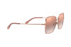 Sonnenbrille Dolce & Gabbana DG 2242 (12986F)