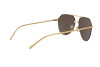 Sunglasses Dolce & Gabbana DG 2249 (134373)