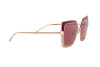 Sunglasses Dolce & Gabbana DG 2251H (133369)