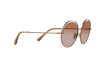 Sunglasses Dolce & Gabbana DG 2262 (135613)