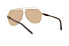 Солнцезащитные очки Dolce & Gabbana DG 2266 (02/73)