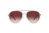 Sunglasses Dolce & Gabbana DG 2283B (12988H)