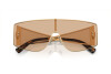 Sunglasses Dolce & Gabbana DG 2305 (13655A)