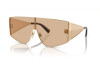 Sunglasses Dolce & Gabbana DG 2305 (13655A)