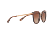 Lunettes de soleil DOLCE & GABBANA DG 4268 (313113)