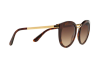 Солнцезащитные очки DOLCE & GABBANA DG 4268 (502/13)