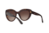 Lunettes de soleil DOLCE & GABBANA DG 4287 (502/13)