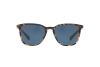 Sonnenbrille DOLCE & GABBANA DG 4301 (314180)