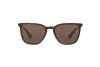 Sonnenbrille DOLCE & GABBANA DG 4301 (502/73)