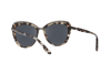 Солнцезащитные очки Dolce & Gabbana DG 4304 (288/6G)