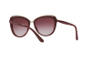 Sunglasses DOLCE & GABBANA DG 4304 (30918H)
