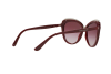 Sunglasses DOLCE & GABBANA DG 4304 (30918H)