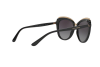 Солнцезащитные очки DOLCE & GABBANA DG 4304 (501/8G)