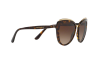 Occhiale da Sole DOLCE & GABBANA DG 4304 (502/13)