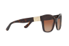 Солнцезащитные очки Dolce & Gabbana DG 4309F (502/13)