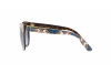 Sunglasses Dolce & Gabbana DG 4311 (31778F)