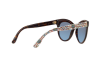 Sunglasses Dolce & Gabbana DG 4311 (31778F)