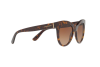 Sunglasses DOLCE & GABBANA DG 4311 (502/13)