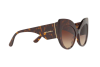 Солнцезащитные очки DOLCE & GABBANA DG 4321 (502/13)