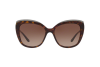 Солнцезащитные очки Dolce & Gabbana DG 4332 (502/13)
