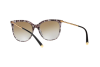 Солнцезащитные очки Dolce & Gabbana DG 4333 (31746E)