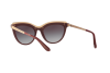 Sunglasses Dolce & Gabbana DG 4335 (32198G)