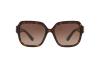 Солнцезащитные очки Dolce & Gabbana DG 4336 (502/13)