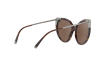 Солнцезащитные очки Dolce & Gabbana DG 4337 (502/73)