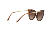 Солнцезащитные очки Dolce & Gabbana DG 4340 (318513)