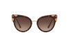 Sunglasses Dolce & Gabbana DG 4340 (318513)