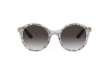 Occhiali da Sole Dolce & Gabbana DG 4358 (32878G)