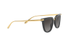 Occhiali da Sole Dolce & Gabbana DG 4363 (501/8G)