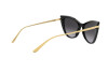 Occhiali da Sole Dolce & Gabbana DG 4381 (501/8G)