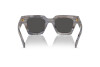 Солнцезащитные очки Dolce & Gabbana DG 4413 (342887)