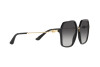 Солнцезащитные очки Dolce & Gabbana DG 4422 (501/8G)