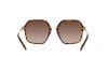 Солнцезащитные очки Dolce & Gabbana DG 4422 (502/13)