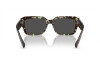 Sunglasses Dolce & Gabbana DG 4460 (343287)