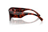 Sunglasses Dolce & Gabbana DG 4461 (335869)