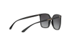 Sunglasses DOLCE & GABBANA DG 6112 (501/8G)