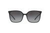Sunglasses DOLCE & GABBANA DG 6112 (501/8G)